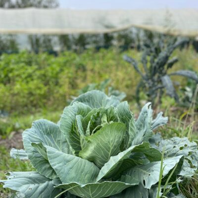 56c3c292-8ff4-4cbc-a021-f46633a37293