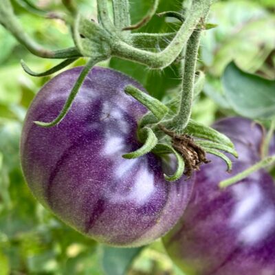 5931dfd5-03ea-4937-a64f-e69bfe1e6c86