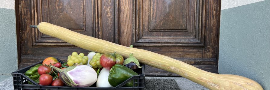 Agriturismo: een beschermde traditie