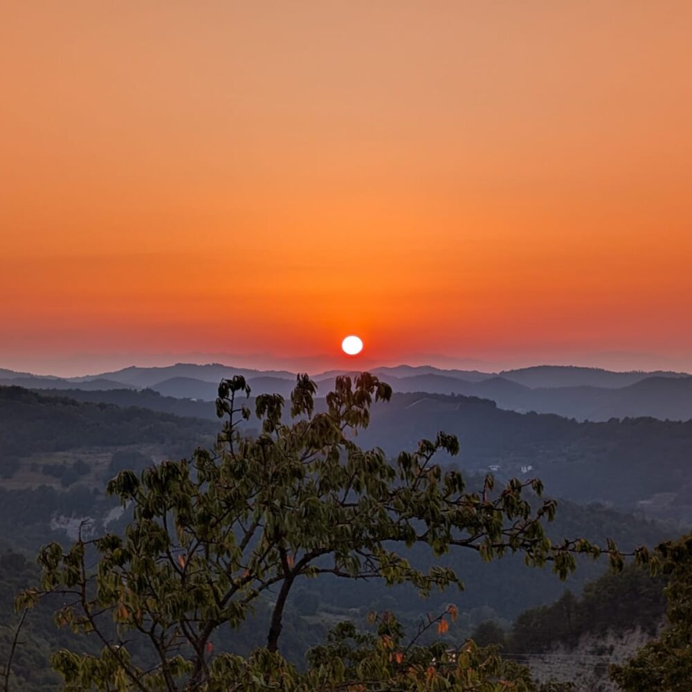 9c17aa86-d774-41ff-a70c-d4b6ce5bca32