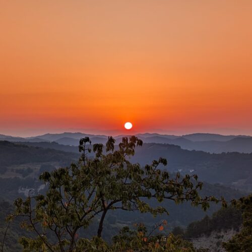 9c17aa86-d774-41ff-a70c-d4b6ce5bca32