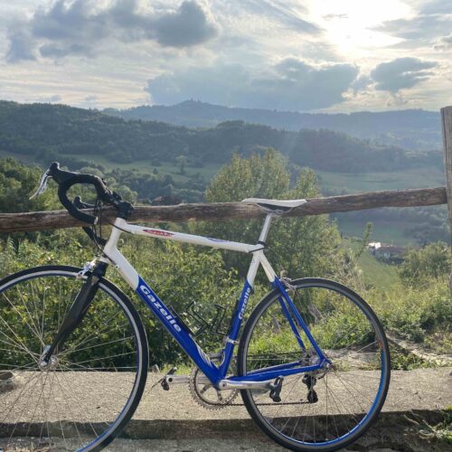 Gazelle Fiets Gazelle Fiets