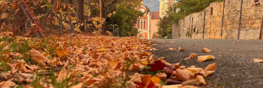 Herfst in Piëmont