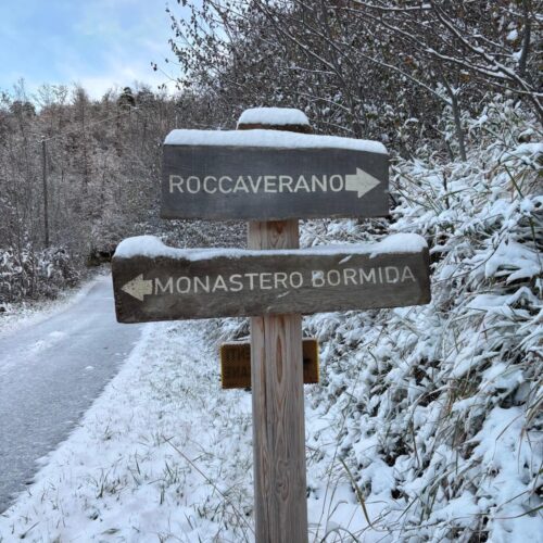 f7846863-b9b1-4a24-80ed-38861259392d