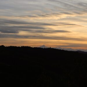 IMG_8990 IMG_8990